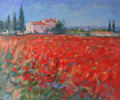 Peter FOYLE - Poppies, Provence